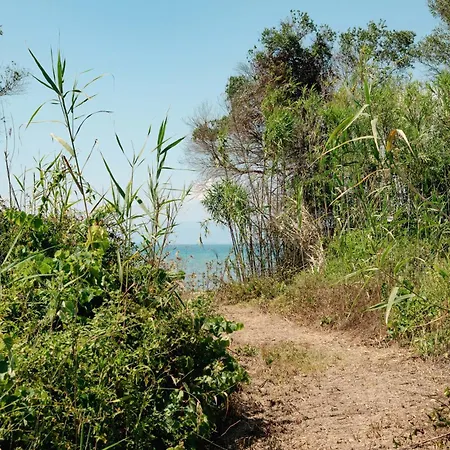Hidden Peaceful