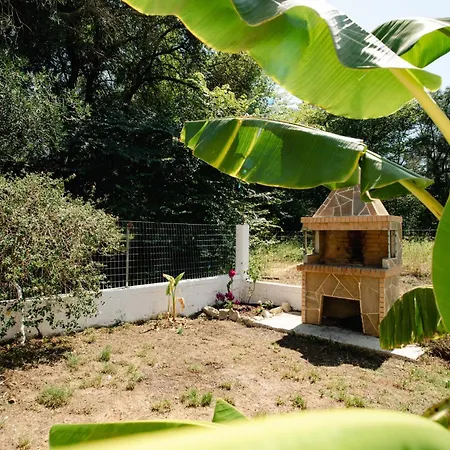 Hidden Peaceful
